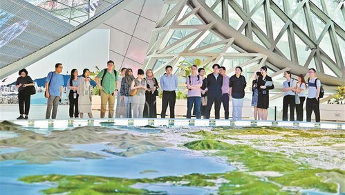 深圳国内旅游业务迎来新机遇 创新融合引领市场复苏与增长