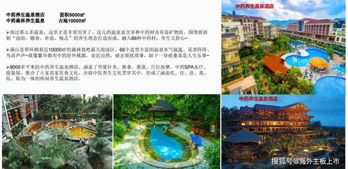 画廊源 红色旅游的资本新篇，重庆中虹源实业集团的上市雄心